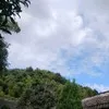 Zhangqin Tan