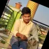 Shiva Yadav