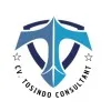 Tosindo Consultant