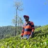 Sureshkumar Dhanaguru
