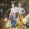 SANJAY TRIPATHI