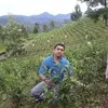 PONNANNA NC