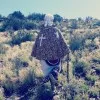 Gogo Naledi