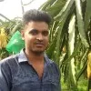 Golam Sarwar