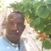 Lukidi Andrew