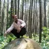 Suritno one