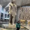 Eriny Nashaat