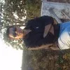 Pankaj Shirude