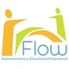 Flow Consultora
