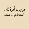 Mohamed Badr