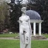 Anne Weshinskey