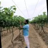 Kuldeep Rajput