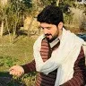 Mehran Ali