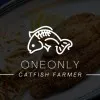 Frozen Catfish Fillet