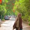 Shereen Gamal
