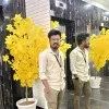 Vimal