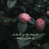 Dina Mohamed