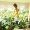 Mamatha vangari