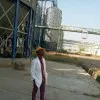 jamani mohammed