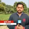 Shubham Sharma