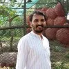 Mahi Gouru