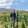 Emre Doğan