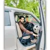 MO RAHEESH SHAH