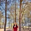 Shikha Sharma