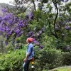 Pradip Sarkar