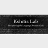 Kshitiz Lab