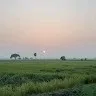 Bujji