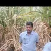 Anand Devaramani