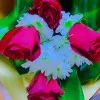 Fanza Nazir