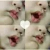 Sheerin Begum
