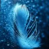 Swetha