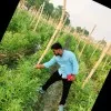 Devi Prasad Singh