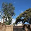 Bascal Musyoka