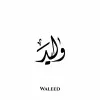 Waleed Allayli