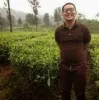 wahyu aji rianto