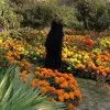 Freelancer Nadira Islam