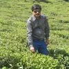 Sital Kar