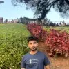 Prassan Katiyar