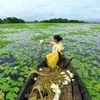 Koucher Alam