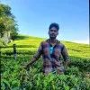 Gokul Ramachandiran