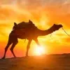 Kesserling Joseph