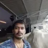 shiva palagummi
