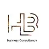 HB business consultancy