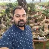 Ankit Ambastha