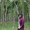 Pentapalli Rohit Sai