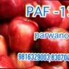 Kapil Panet